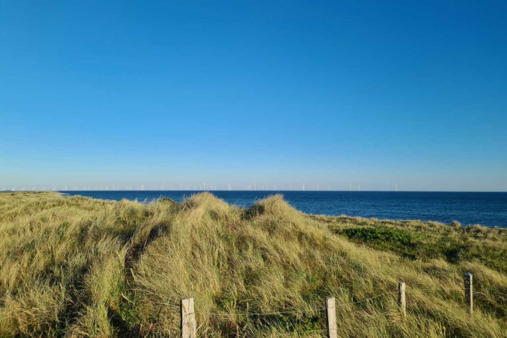 Dünen in Dänemark