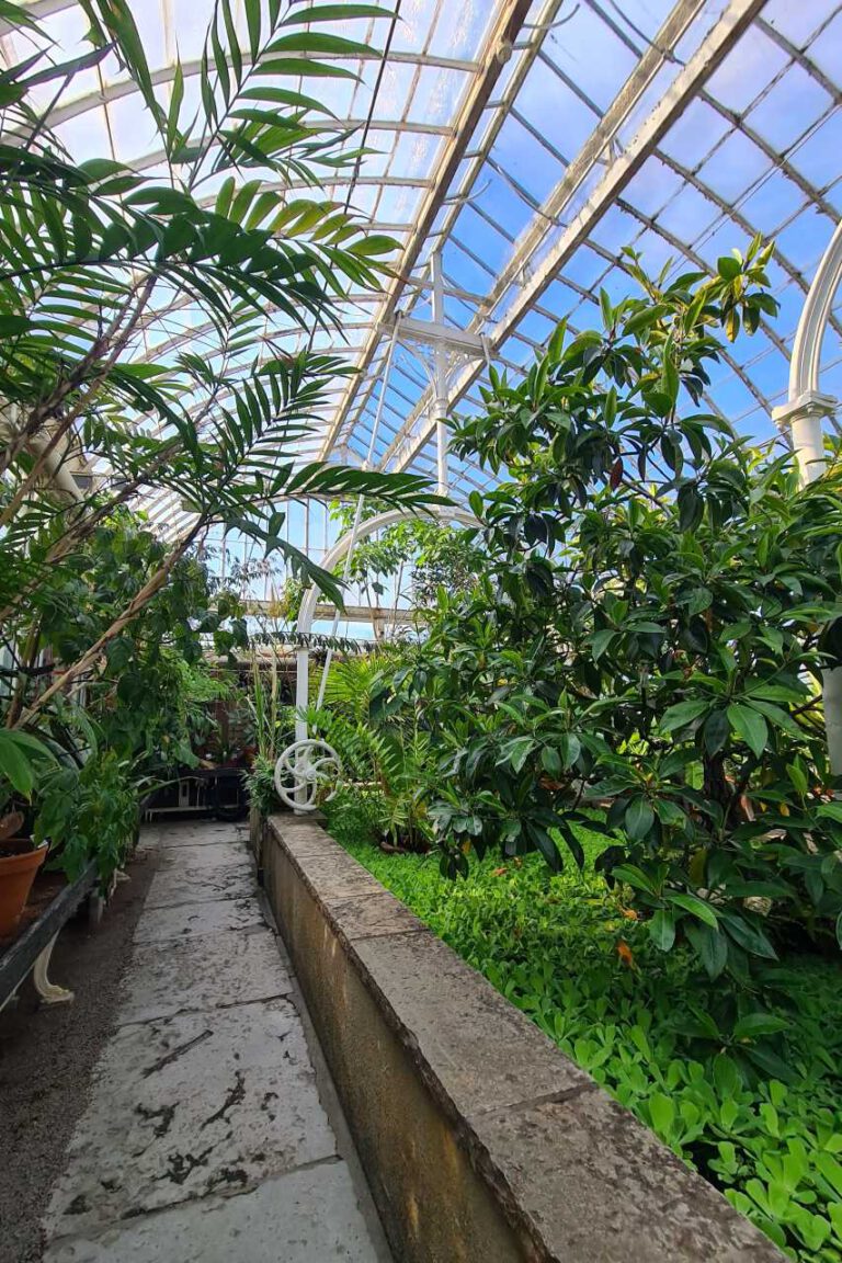 Palmenhaus in Göteborg