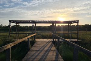Sonnenuntergang im Nationalpark l'Albufera
