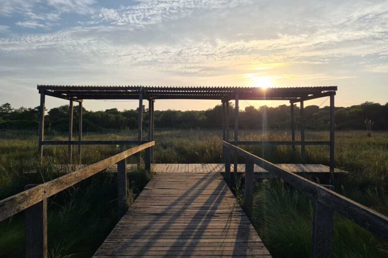 Sonnenuntergang im Nationalpark l'Albufera