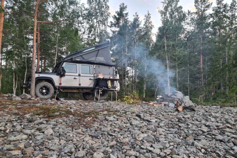 Kalo in Schwedens Wäldern