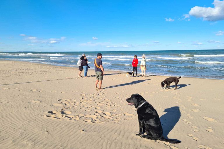 Spaziergang am Strand in Oliva