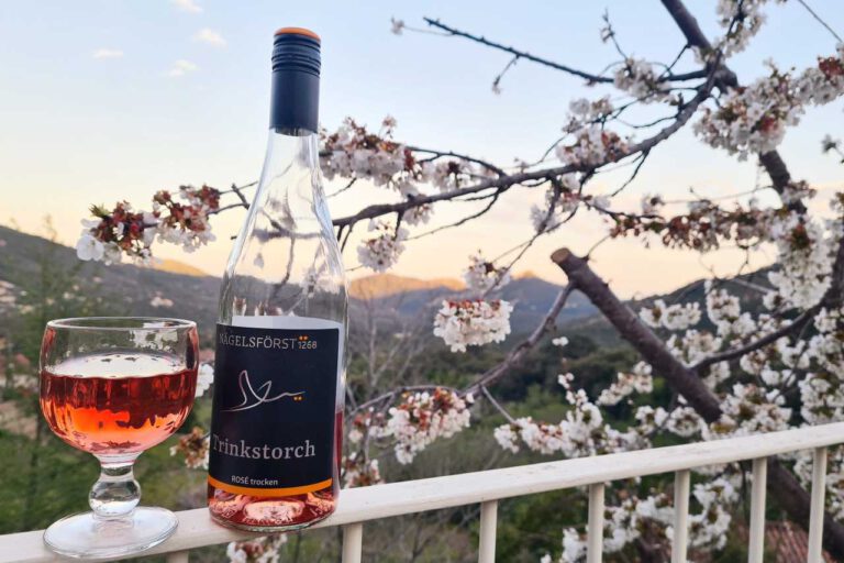 Ein Glas Rosé in Conca